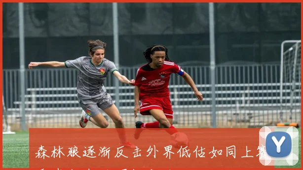 森林狼逐渐反击外界低估如同上赛季步行者的崛起之路