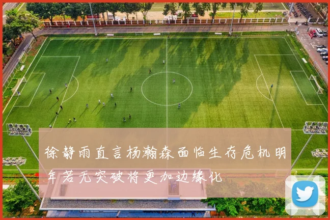 徐静雨直言杨瀚森面临生存危机明年若无突破将更加边缘化